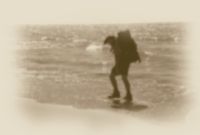 Other Trips