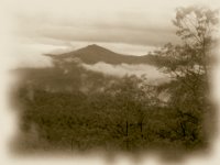 Long Trail