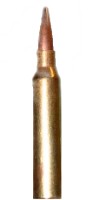 Bullet: 5.56 NATO (.223 Remington)