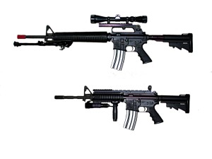 Custom Bushmaster AR15 