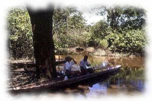 Canoe on the Amazon