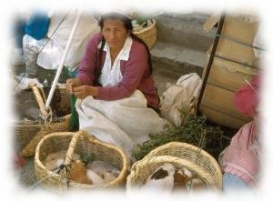 Guinea Pig and Rabbit Vendor