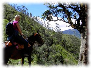 Sonja on Horseback