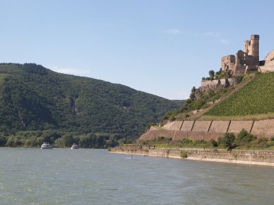 Rhine River and Castle